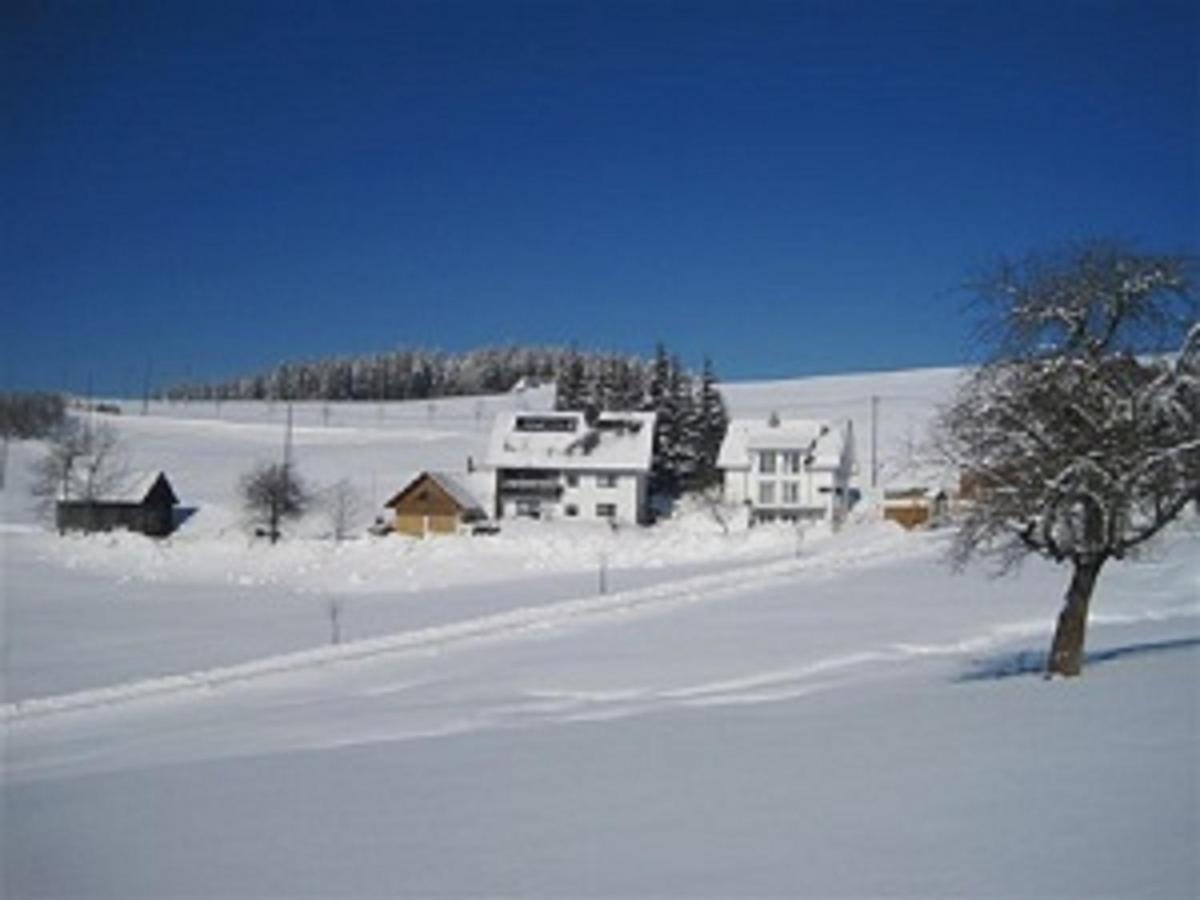 Haus Janssen-Wehrle Διαμέρισμα Titisee-Neustadt Εξωτερικό φωτογραφία