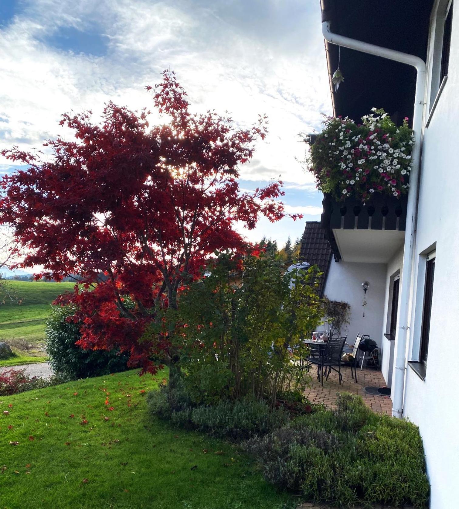 Haus Janssen-Wehrle Διαμέρισμα Titisee-Neustadt Εξωτερικό φωτογραφία